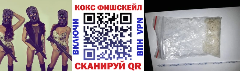 Кокаин Fish Scale  купить наркотик  Новоржев 