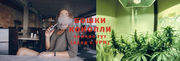 гашик Зеленокумск