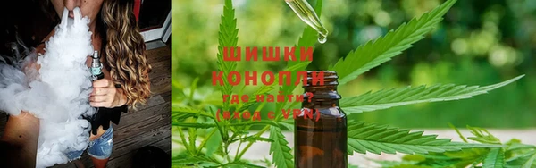 ECSTASY Елабуга
