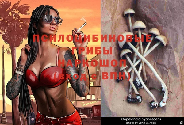 mix Верея