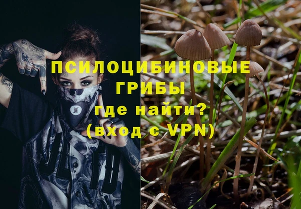 spice Елизово