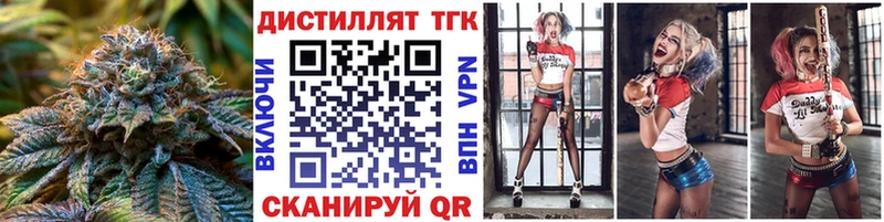как найти   Новоржев  Дистиллят ТГК THC oil 