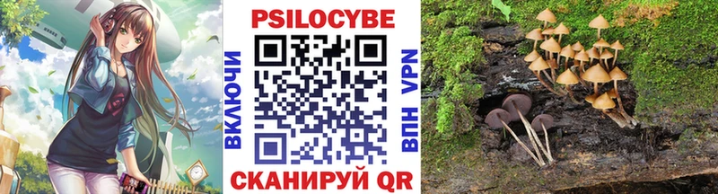 Псилоцибиновые грибы MAGIC MUSHROOMS Новоржев