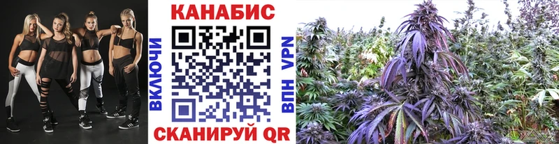 МАРИХУАНА марихуана Новоржев